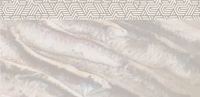 anchoas cuadro